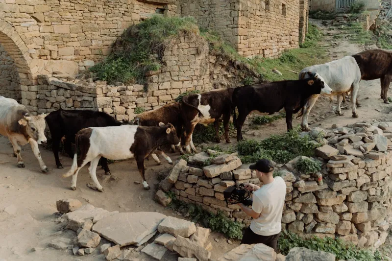 Cuando el animal se llevó todos los aplausos: escenas del cine español que los humanos nunca pudieron ganar