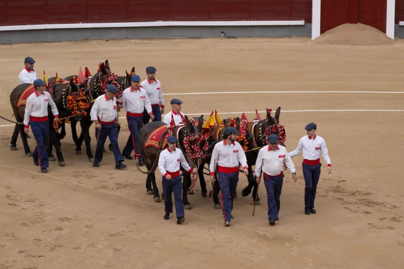 Animales con corona: las bestias reales y legendarias que marcaron el destino de España