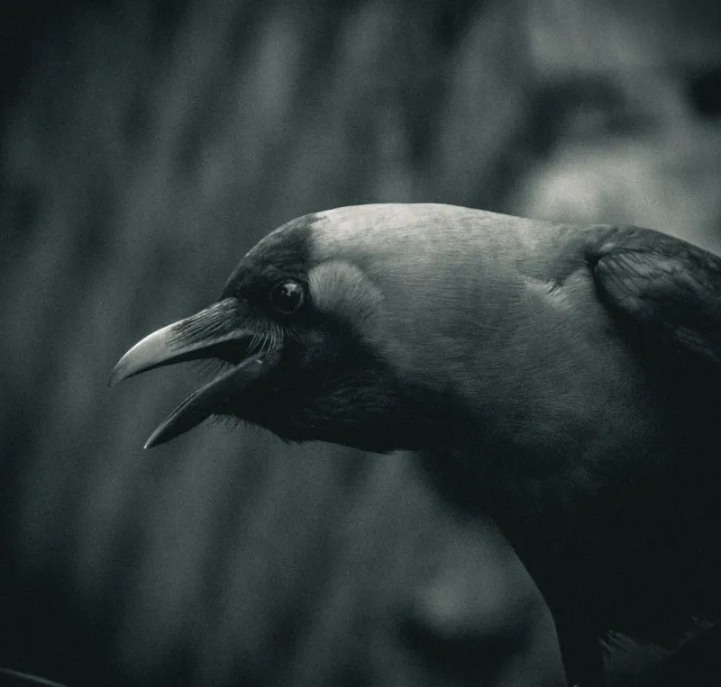Garras, colmillos y maldad a raudales: los antagonistas animales que se robaron la pantalla