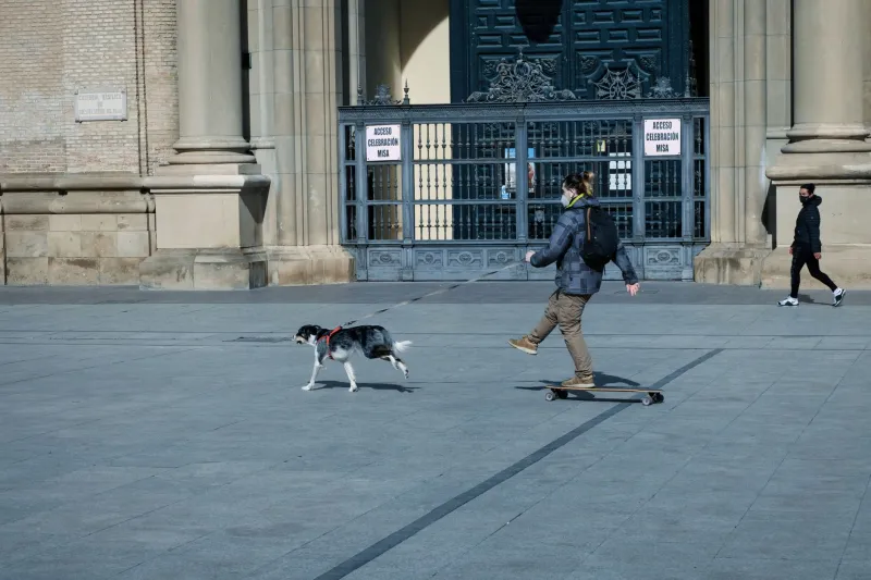 Cuando la ficción se hace real: españoles que eligen a sus mascotas por culpa de un personaje animado