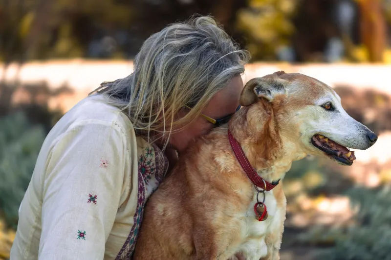 Cuatro patas, un corazón enorme: las mascotas españolas que se convirtieron en auténticos salvavidas