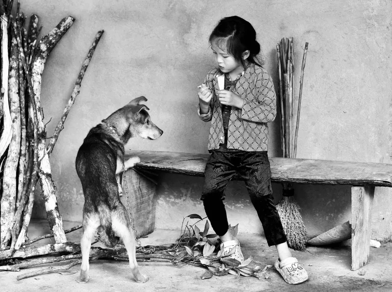 De Lassie a Dálmata: los animales del cine español que jamás olvidaremos