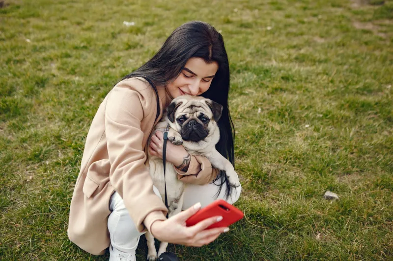 Cuatro patas, millones de seguidores: las mascotas influencers que han convertido el meneíto de cola en un negocio de lujo